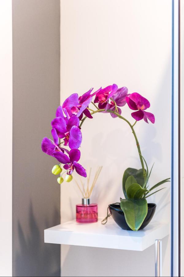 Modern Private Apartment วานากา ภายนอก รูปภาพ